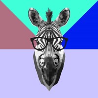 Party Zebra in Glasses Fine Art Print