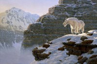 A Touch Of Warmth Fine Art Print