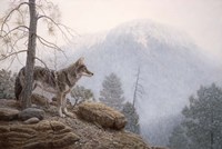 Misty Lookout Fine Art Print