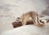 Thru The Pass Fine Art Print