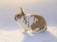 The Princess Fine Art Print