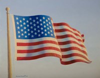 American Flag 4 Fine Art Print
