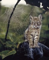 Inmate Fine Art Print