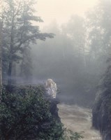 Boundary Line Fine Art Print