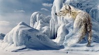 Arctic Spirit Fine Art Print