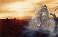 Dawn's Early Mist Fine Art Print