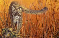 Malicious Intent Fine Art Print