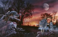 Moonlight Trackers Fine Art Print