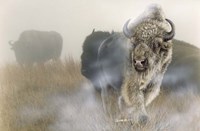 White Mist Fine Art Print