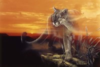 Ghost Of The Badlands Fine Art Print