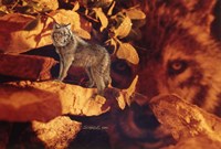 Sentinel Fine Art Print