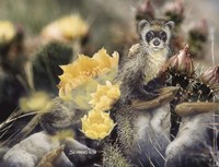 As Time Fades By Fine Art Print