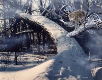 Stairway Fine Art Print