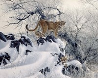 Seperate Ways Fine Art Print