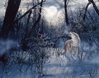 Minnesota Moon Fine Art Print