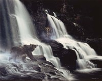 Intrusion Fine Art Print