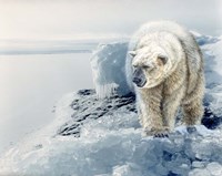 Polar Dawn Fine Art Print