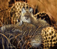 Needles And Pins Fine Art Print