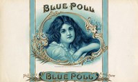 Blue Poll Fine Art Print