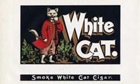 White Cat Fine Art Print