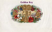 Golden Key Fine Art Print