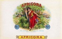 Africora Fine Art Print