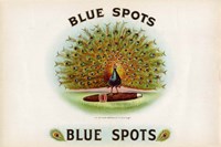 Blue Spots Fine Art Print