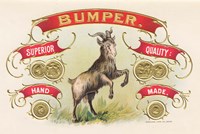 Bumper Fine Art Print