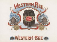 Western Bee Fine Art Print