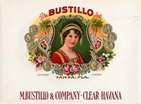 Bustillo Framed Print