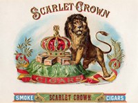 Scarlet Crown Fine Art Print