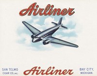 Airliner Fine Art Print