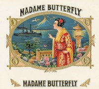 Madame Butterfly Framed Print
