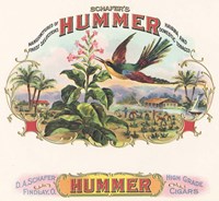 Hummer Fine Art Print