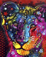 Young Lion Fine Art Print