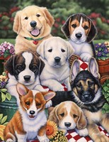 Garden Puppies Fine Art Print