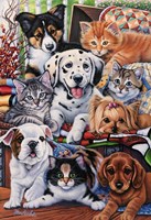 Country Pups and Kittens II Fine Art Print
