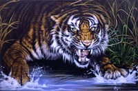 Surprise Fine Art Print