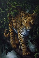 Watchful Eyes Fine Art Print