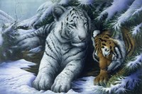 Big Brother Fine Art Print