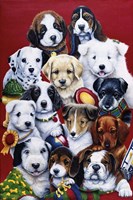 Picture Day Fine Art Print