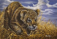 Playful Curiosity Fine Art Print