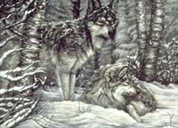 Bedding Down Fine Art Print