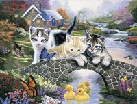 A Purrfect Day Fine Art Print