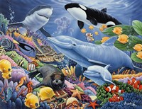 Sealife Fine Art Print