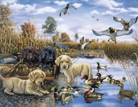 A Playful Tail Waggin' Day Fine Art Print