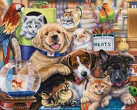 Pet Shop Fine Art Print