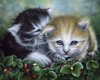 Friendship Fine Art Print