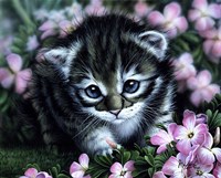 Bright Eyes Fine Art Print