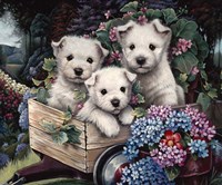 Lovable Westies Fine Art Print